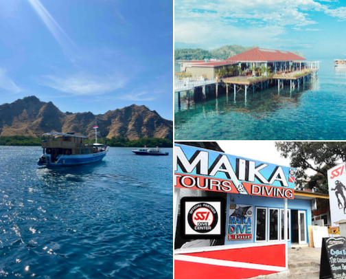 Komodo island recommendations cover photo collage