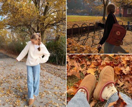 Fall Basics 🍂🍁 cover photo collage