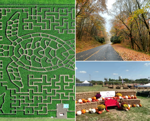 ✨ All Things Fall: Cozy Vibes, Halloween Fun & Must-Try Recipes 🍁🎃 cover photo collage