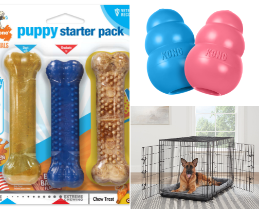 NEW Puppy Essentials cover photo collage