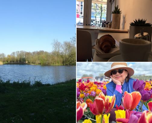 MY TOP LOCAL RECS cover photo collage