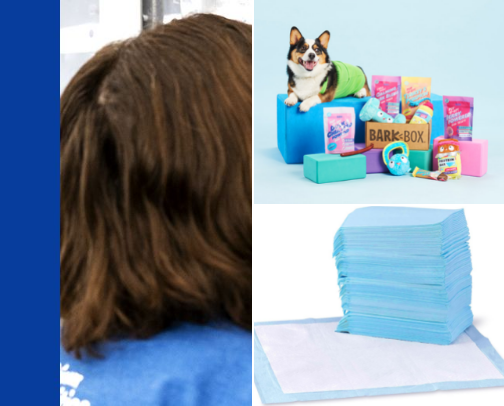 Dog/cat shopping- owner of 2 dogs and 5 cats cover photo collage