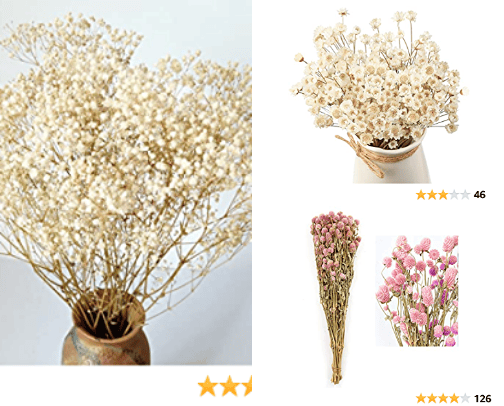 Dried Flowers cover photo collage