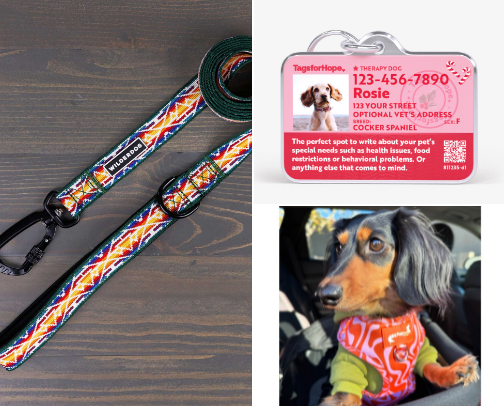 Mini Dauchshaund Must Haves cover photo collage