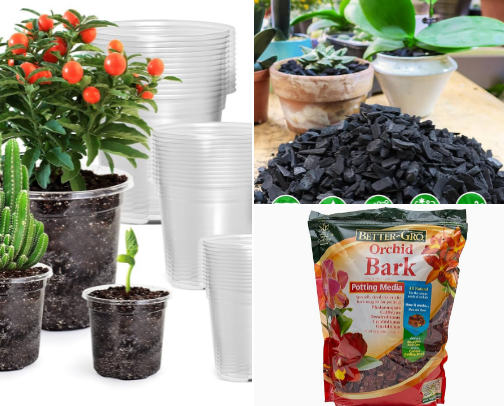 Rooted Wisdom: A Crazy Plant Lady’s Guide to Houseplants cover photo collage