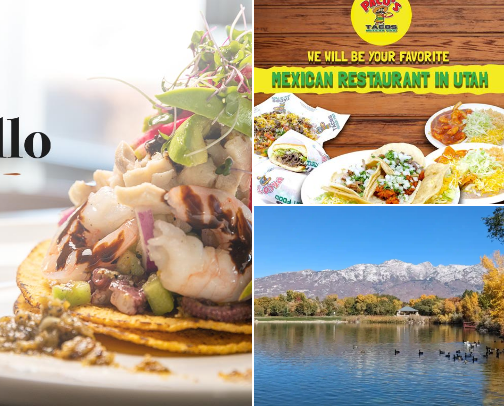 My top local recs cover photo collage