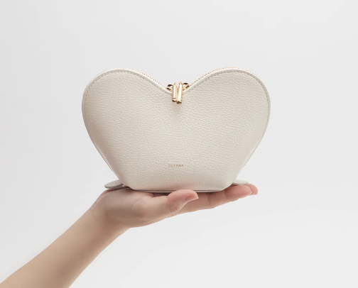 Cuyana Mini Heart Case cover photo collage