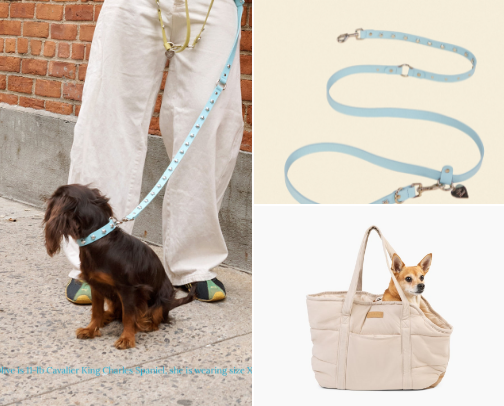 Dog Mom of the Year cover photo collage