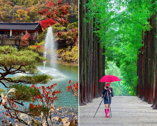 Autumn in South Korea! - where to visit and enjoy 🍁 cover photo collage