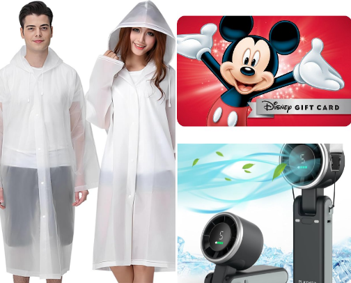 Don’t Go to Disney Without These … cover photo collage