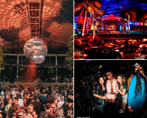 The Ultimate Florida Nightlife Guide 🌴🪩 cover photo collage