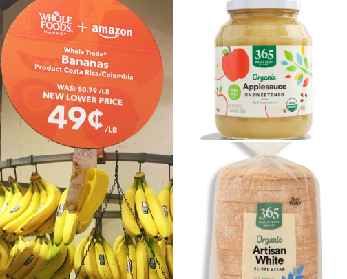 Norovirus Saviors cover photo collage