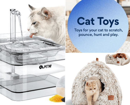For the adopted pets I care for cover photo collage