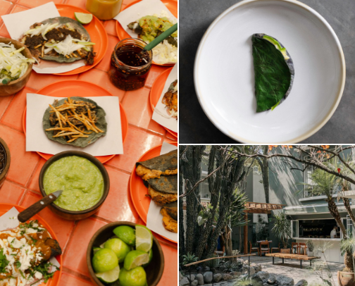 Where to Eat in Mexico City cover photo collage