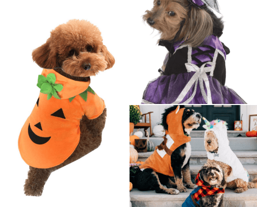 Holiday items 🎃🎄 cover photo collage