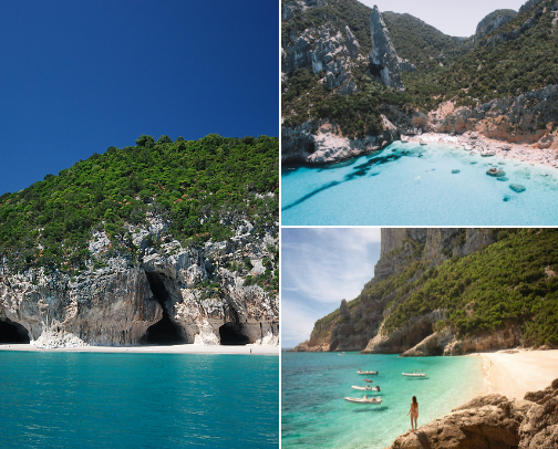 Beautiful Island🌅🐬🌊🪸☀️ cover photo collage