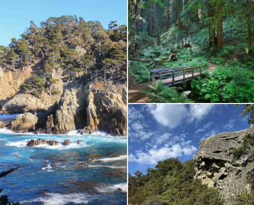 Scenic Hiking Trails- Bay Area cover photo collage