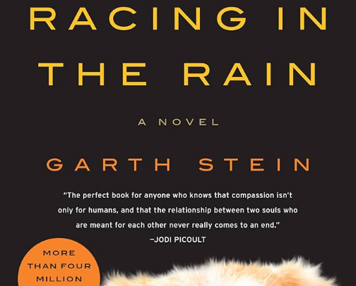 My favorite book recs cover photo collage