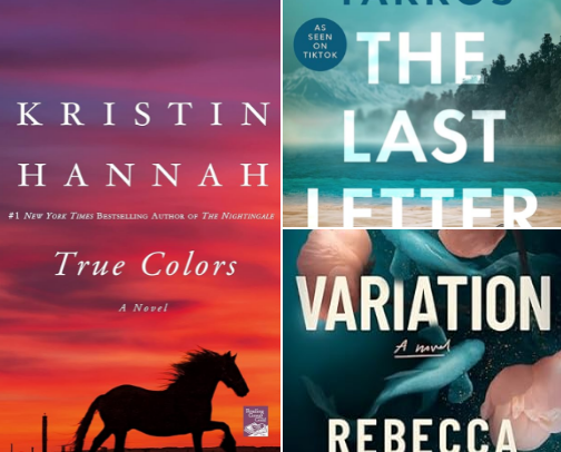 Books that I’ve LOVED this year! cover photo collage