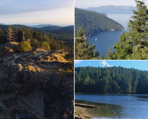 Trials in Vcitoria, Vancouver Island cover photo collage
