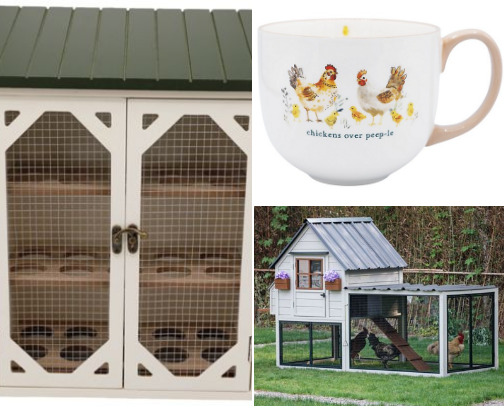 All Things Chicken cover photo collage