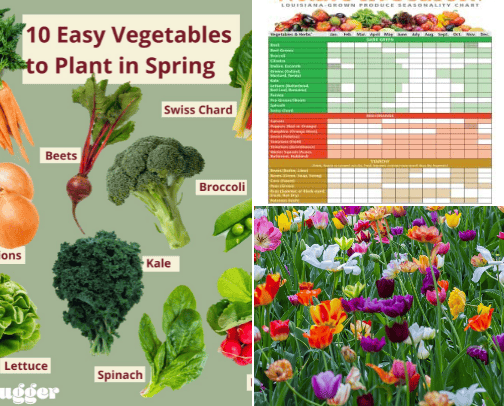 Early spring gardening cover photo collage