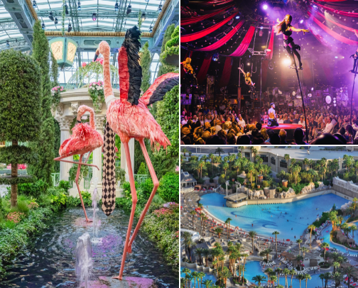 Las Vegas cover photo collage