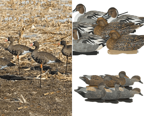 Waterfowl Hunting Products cover photo collage