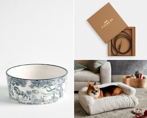 Perfect for your PET cover photo collage