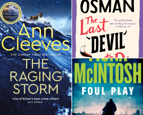 Top 10 Crime Novels of 2024 cover photo collage