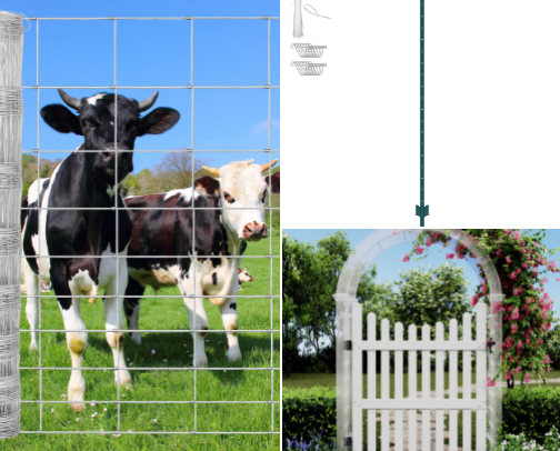 Budget and Eco-Friendly Natural Fencing cover photo collage
