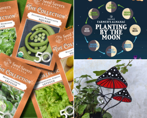 Witchy Garden Must-Haves cover photo collage