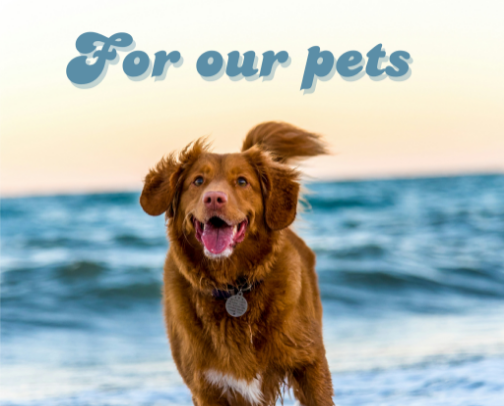 Give your pets the best !😺 cover photo collage