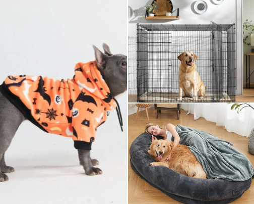 Pawrent Essentials cover photo collage
