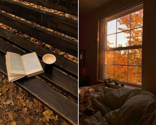 autumn essentials i 𝓵𝓸𝓿𝓮🍂🍁 cover photo collage