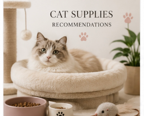 Purr-fectly Yours: A Whisker-twitching Collection of Cat Essential cover photo collage