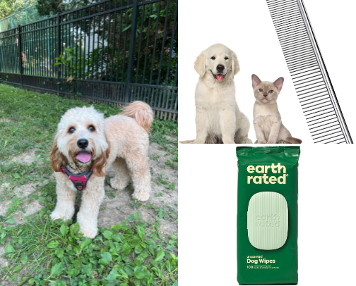 The Doodle Beauty Salon cover photo collage