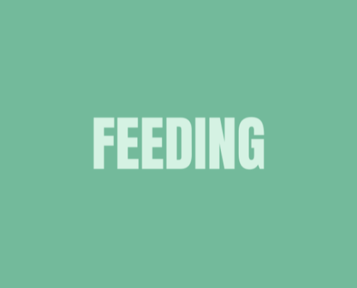 Low-Tox Feeding & Nursing Gear cover photo collage