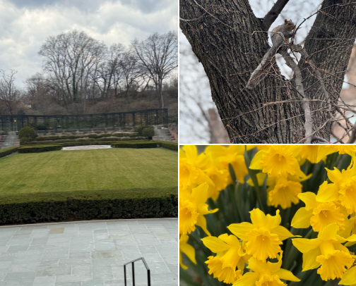 My Spot in Central Park cover photo collage