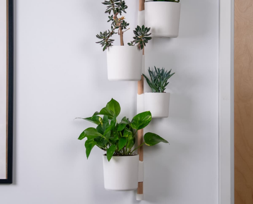 Indoor garden of Eden cover photo collage