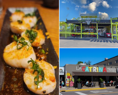 My top New Albany recs cover photo collage