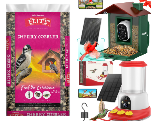 Birds cover photo collage