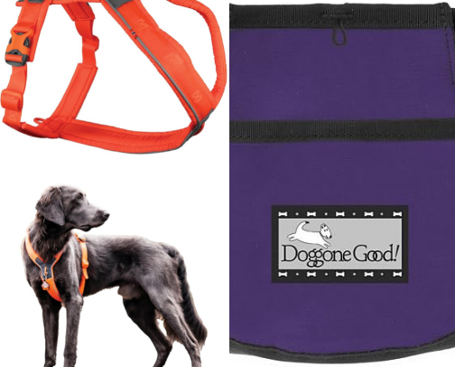 Dog Accessories cover photo collage