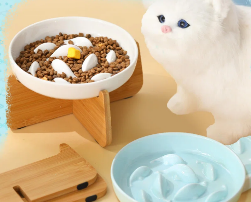 Cat Essentials cover photo collage