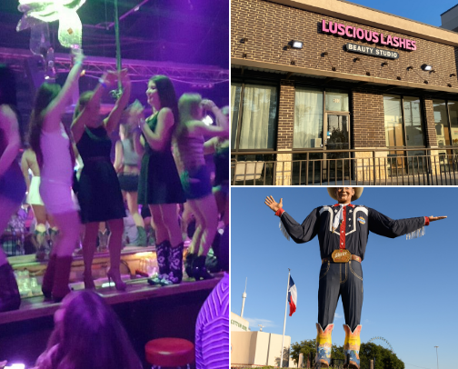 Visit Dallas, TX! cover photo collage