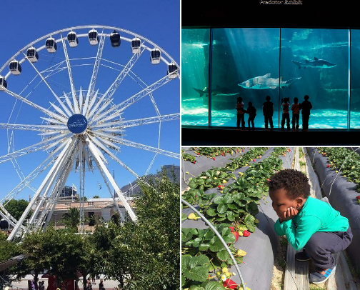 Explore and Experience 🪂👫🏻 cover photo collage
