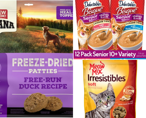 Pet friendly. cover photo collage