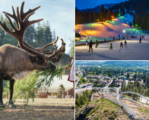 Favorite Toddler Activities in Leavenworth, WA cover photo collage
