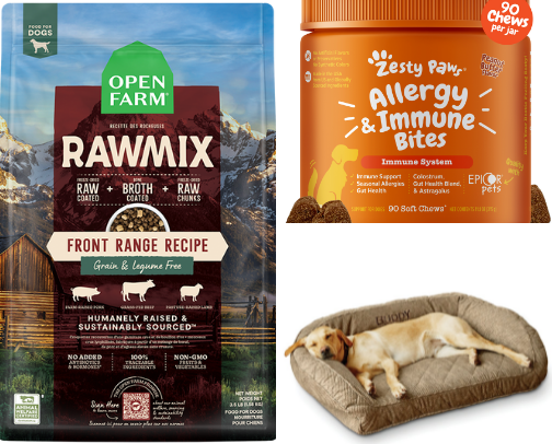 Dog Mom Must-Haves cover photo collage