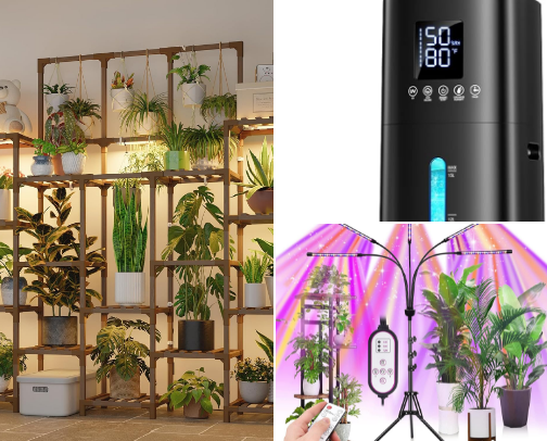 How to Make Your Indoor Jungle Thrive cover photo collage